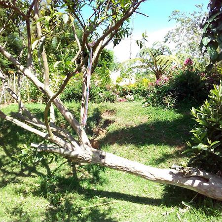 Fairy Hostel Nuwara Eliya Dış mekan fotoğraf