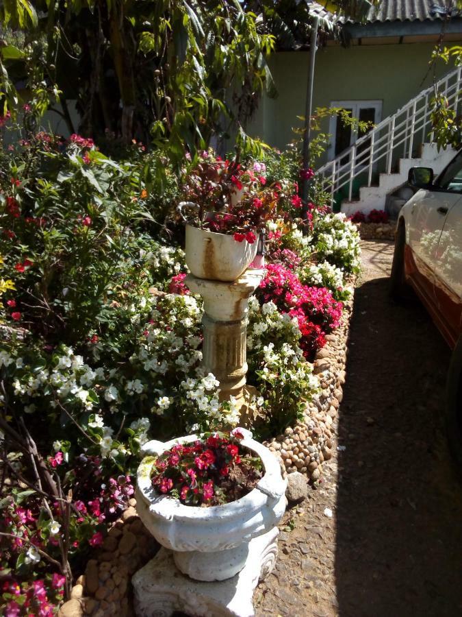 Fairy Hostel Nuwara Eliya Dış mekan fotoğraf